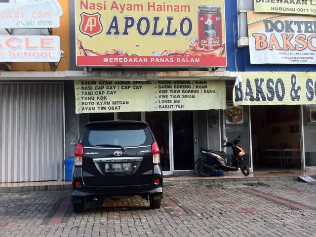 Gambar Makanan Apollo Nasi Ayam Hainam 4