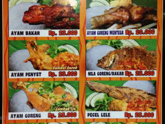 Gambar Makanan Ayam KQ5 2