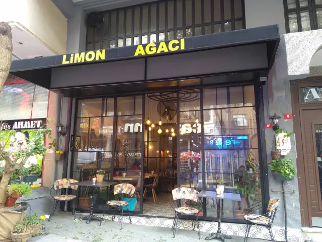 Limon Ağacı'nin yemek ve ambiyans fotoğrafları 7