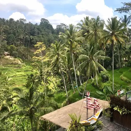 Gambar Makanan Klumpu Padi Terrace 10