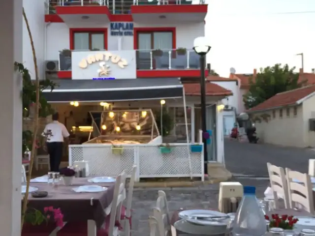 Vantuz Dalyan Marina'nin yemek ve ambiyans fotoğrafları 1