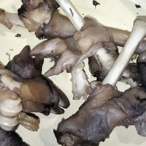 Gambar Makanan Sop Kaki Kambing Tiga Saudara 6