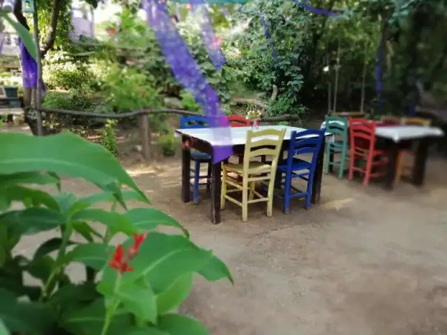Renkli Bahçe'nin yemek ve ambiyans fotoğrafları 14