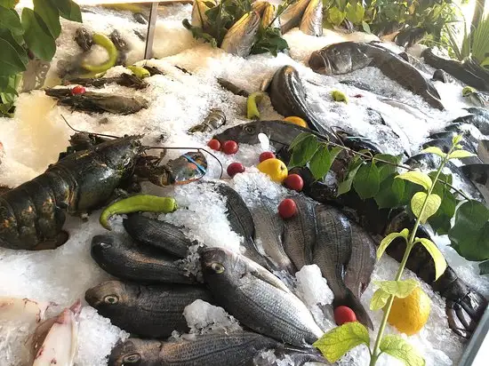 Balıkçı İrfan'nin yemek ve ambiyans fotoğrafları 29