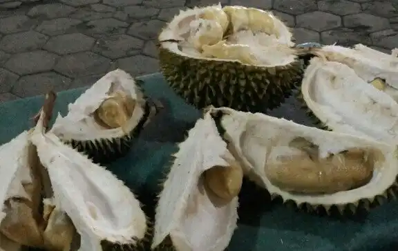 Durian Lemang ( Jamin Ginting )