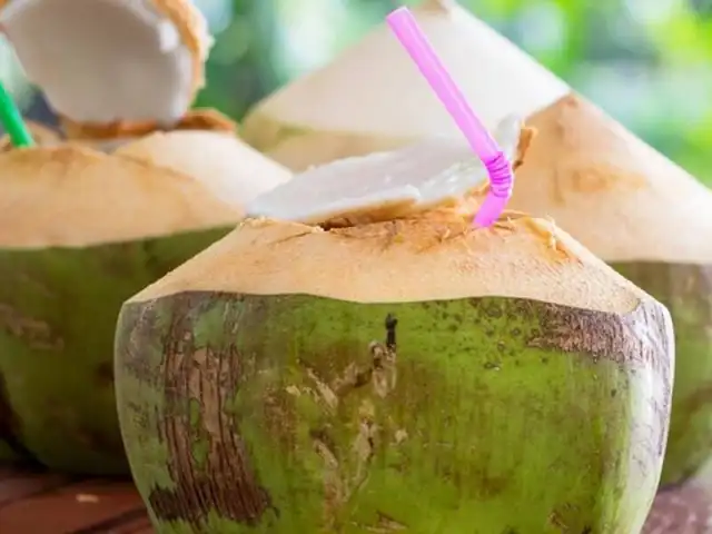 Bukit Dinding Coconut Food Photo 2