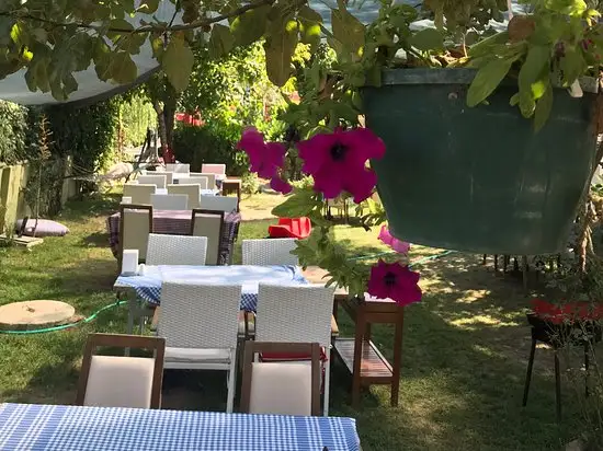 Gündoğan Garden'nin yemek ve ambiyans fotoğrafları 5