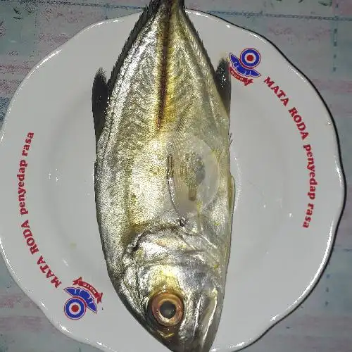Gambar Makanan Ikan Bakar Mang Ujang, Anggajaya 15