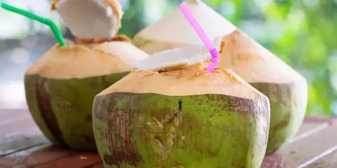 Bukit Dinding Coconut