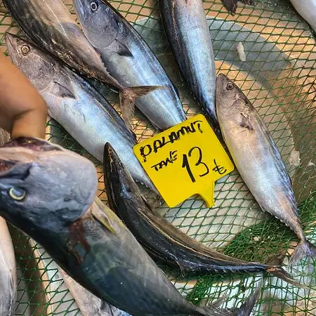 Balıkçı Kenan'nin yemek ve ambiyans fotoğrafları 20