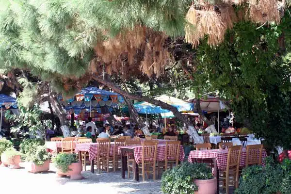 Çamlık Restaurant Hafız'ın Yeri'nin yemek ve ambiyans fotoğrafları 22