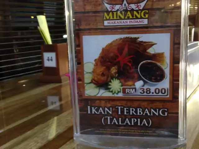 Minang Makanan Padang Food Photo 12