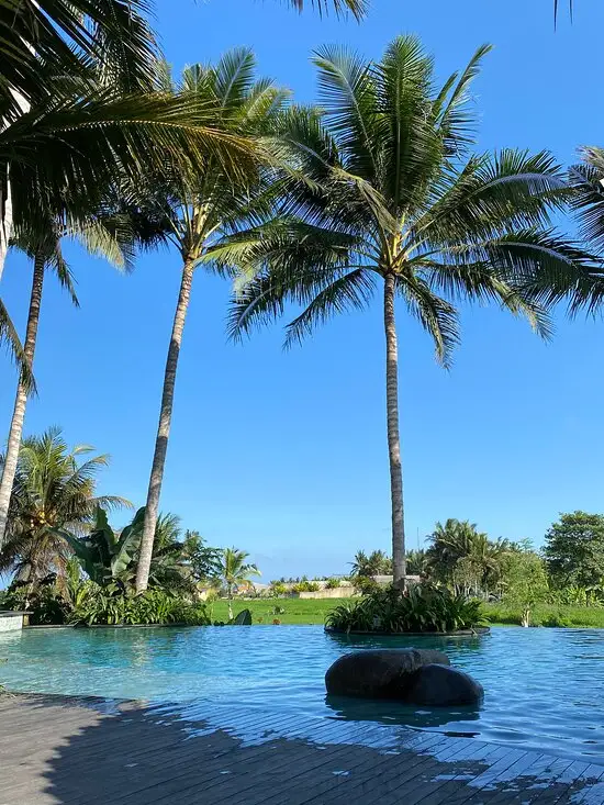 Gambar Makanan Kelapa Muda Ubud 4