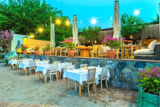 Faros Beach And Restaurant'nin yemek ve ambiyans fotoğrafları 1