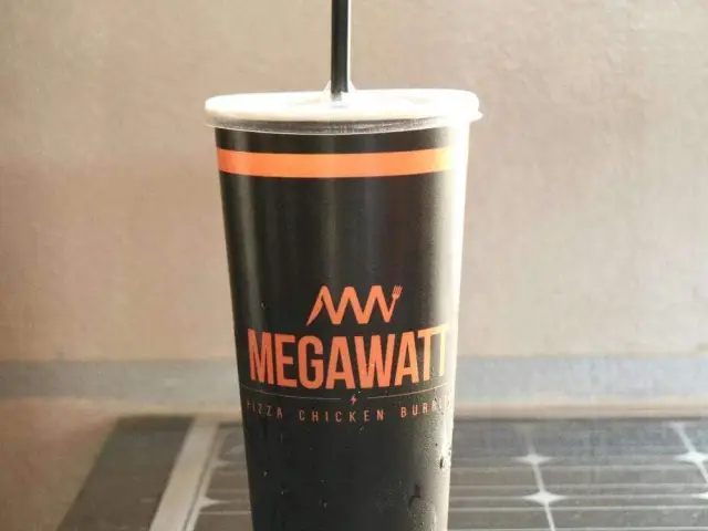 Megawatt Food Photo 8