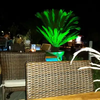 Pm Bodrum Beach & Restaurant