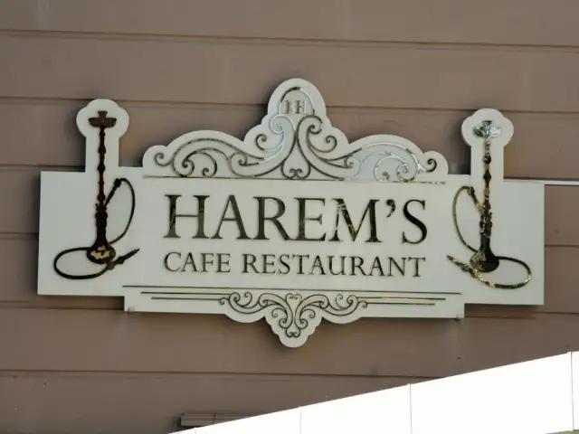 Harem's Cafe Restaurant'nin yemek ve ambiyans fotoğrafları 57