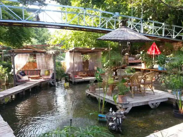 Paradise Cafe'nin yemek ve ambiyans fotoğrafları 5