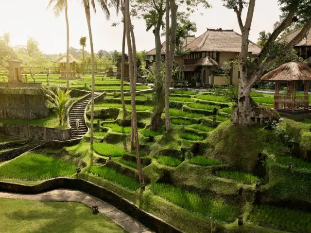 Gambar Makanan Petulu Restaurant at the Kamandalu Ubud 18