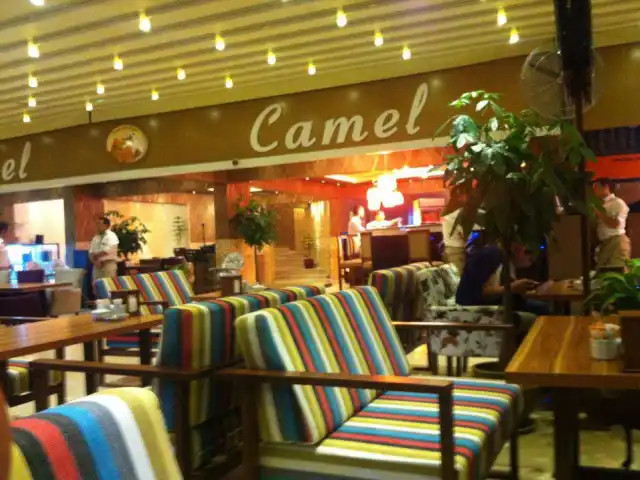 Camel Cafe Bistro'nin yemek ve ambiyans fotoğrafları 4