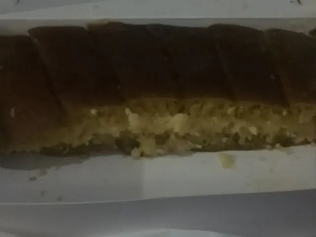 OrientMartabak