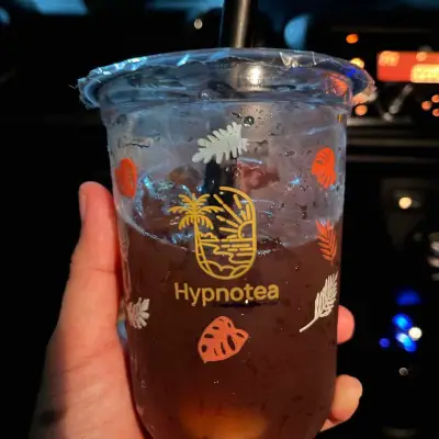 Hypnotea