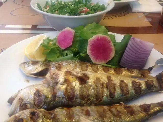 Dalyan Balık Izgara'nin yemek ve ambiyans fotoğrafları 19