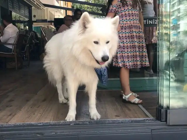 Naciye Kahvaltı&Kafe&Restoran'nin yemek ve ambiyans fotoğrafları 18