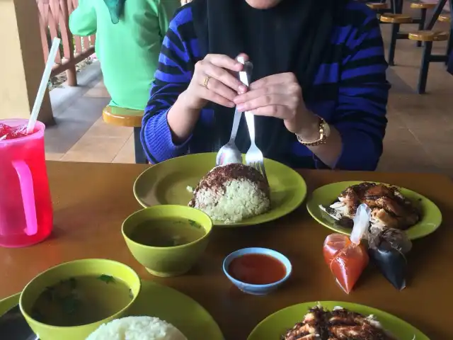 Nasi Ayam Mak Long (sebelah Sumirubber) Food Photo 5