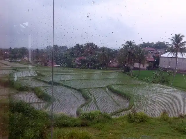 Gambar Makanan Rumah Makan Ampera - 2 Tak 14