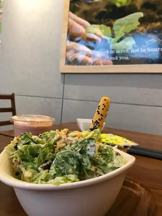 Gambar Makanan SaladStop! 4