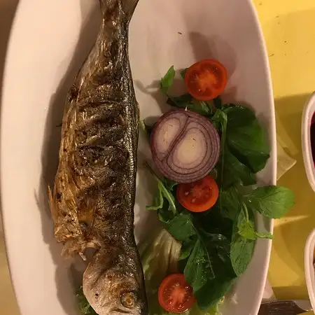Salaş Barınak Balık'nin yemek ve ambiyans fotoğrafları 7