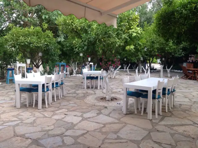 Efendim Restaurant'nin yemek ve ambiyans fotoğrafları 3