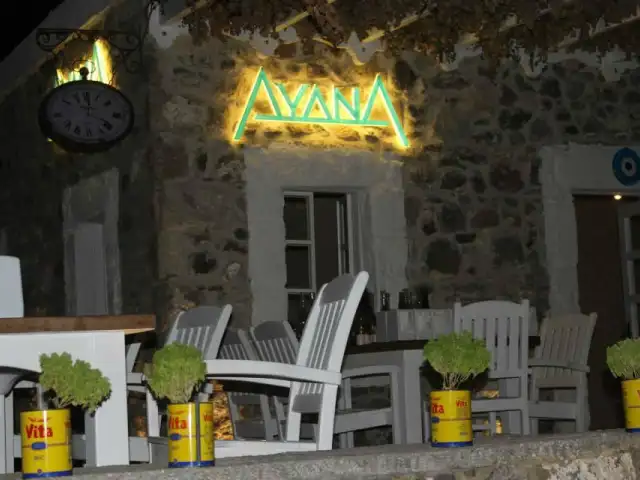 Ayana Restaurant'nin yemek ve ambiyans fotoğrafları 41