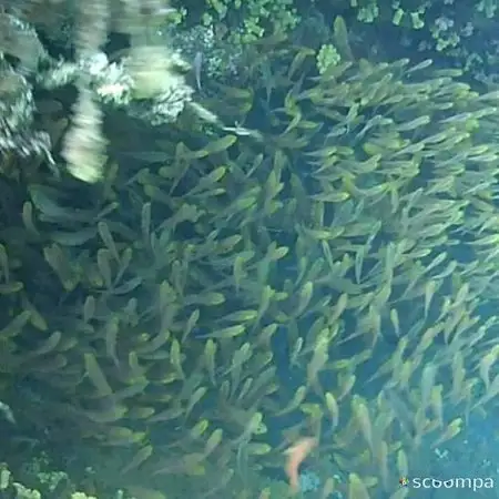 Gambar Makanan Astungkara Warung 7