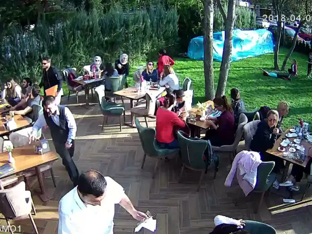 Yeşil Ve Zeytin Kafe Bistro'nin yemek ve ambiyans fotoğrafları 16