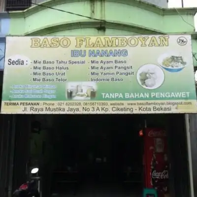 Baso Flamboyan