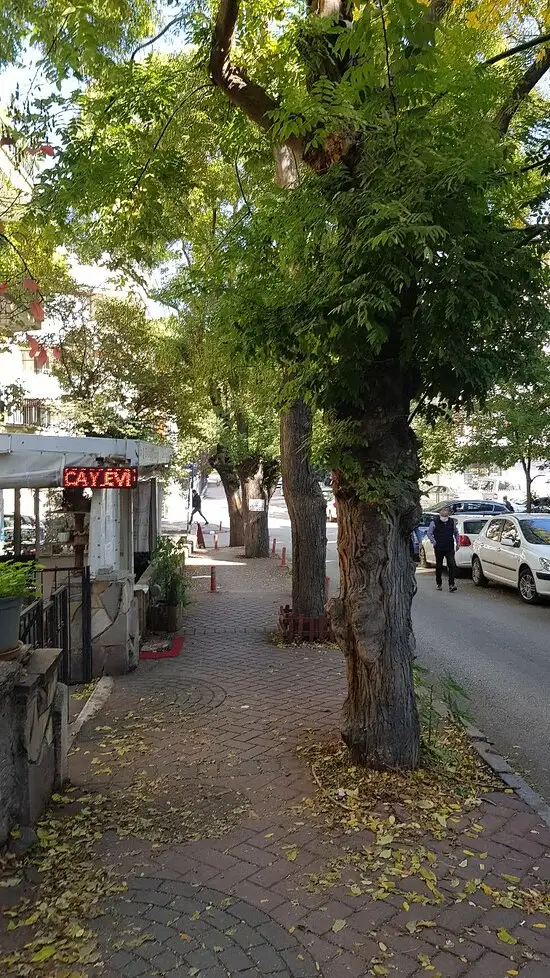 Zula Çay Evi'nin yemek ve ambiyans fotoğrafları 58