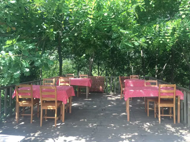 Yeşil Vadi Kuzina Piknik'nin yemek ve ambiyans fotoğrafları 10