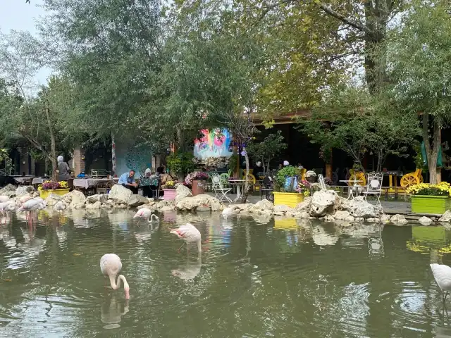 Flamingo Köy'nin yemek ve ambiyans fotoğrafları 15