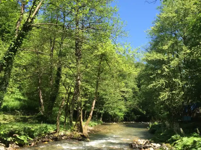 Kenan'ın Yeri'nin yemek ve ambiyans fotoğrafları 2