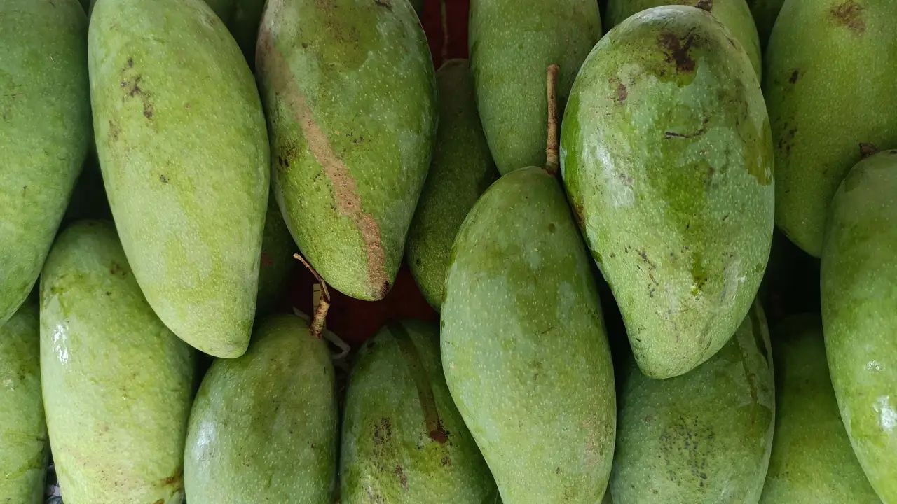 KEDAI BUAH LEPAS SHELL WAKAF MEMPELAM