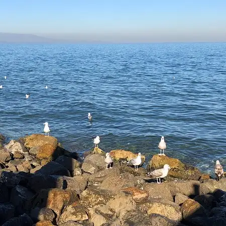 Sirincan Restaurant'nin yemek ve ambiyans fotoğrafları 5