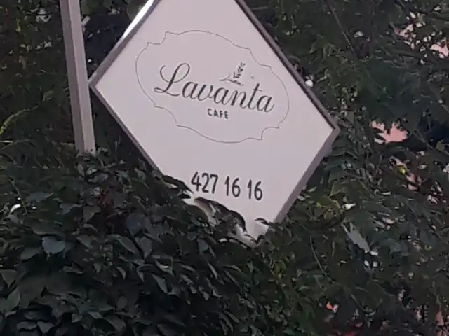 Lavanta Cafe'nin yemek ve ambiyans fotoğrafları 3
