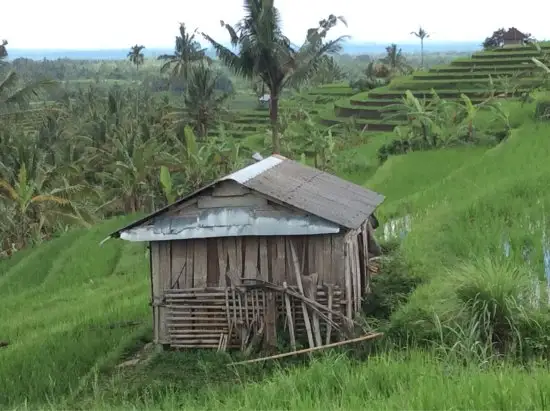 Gambar Makanan Warung Ada Di Jatiluwih 7